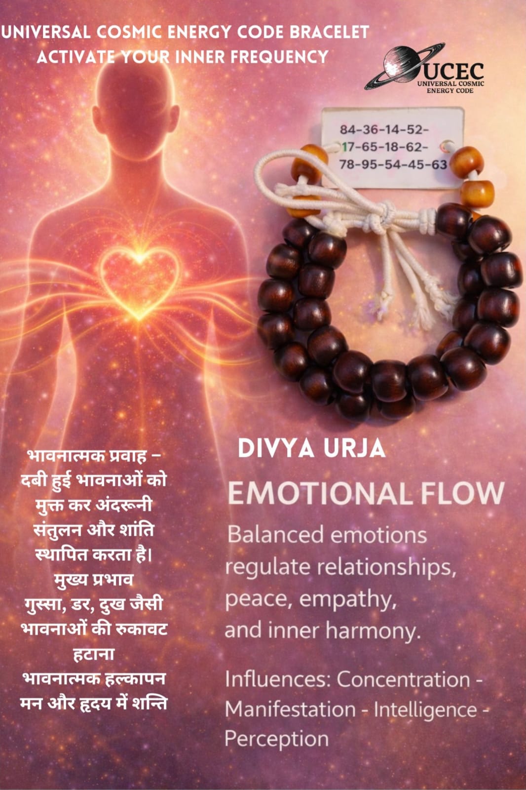 WhatsApp Image 2026-01-31 at 19.34.11