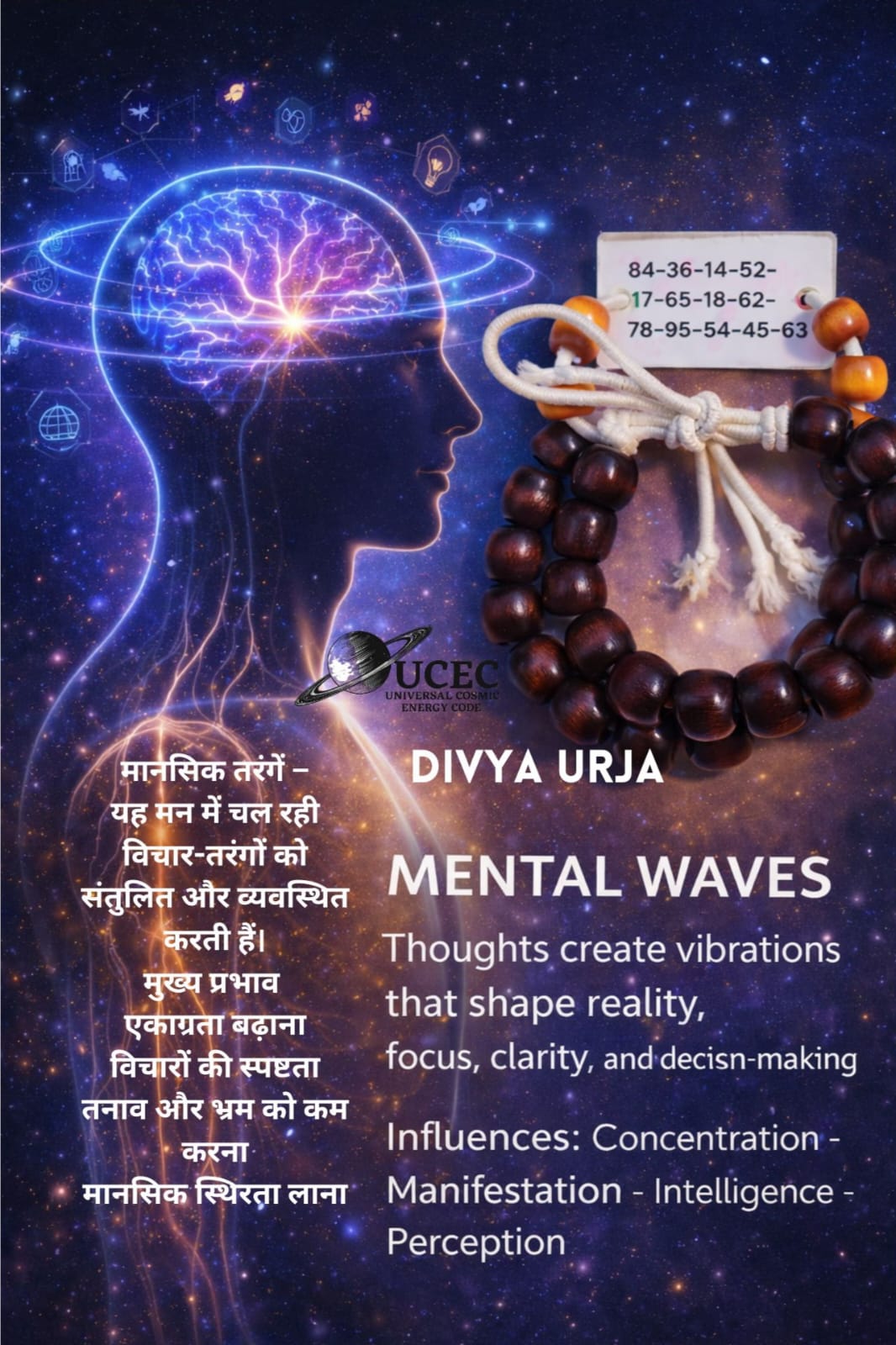 WhatsApp Image 2026-01-31 at 19.34.12 (1)