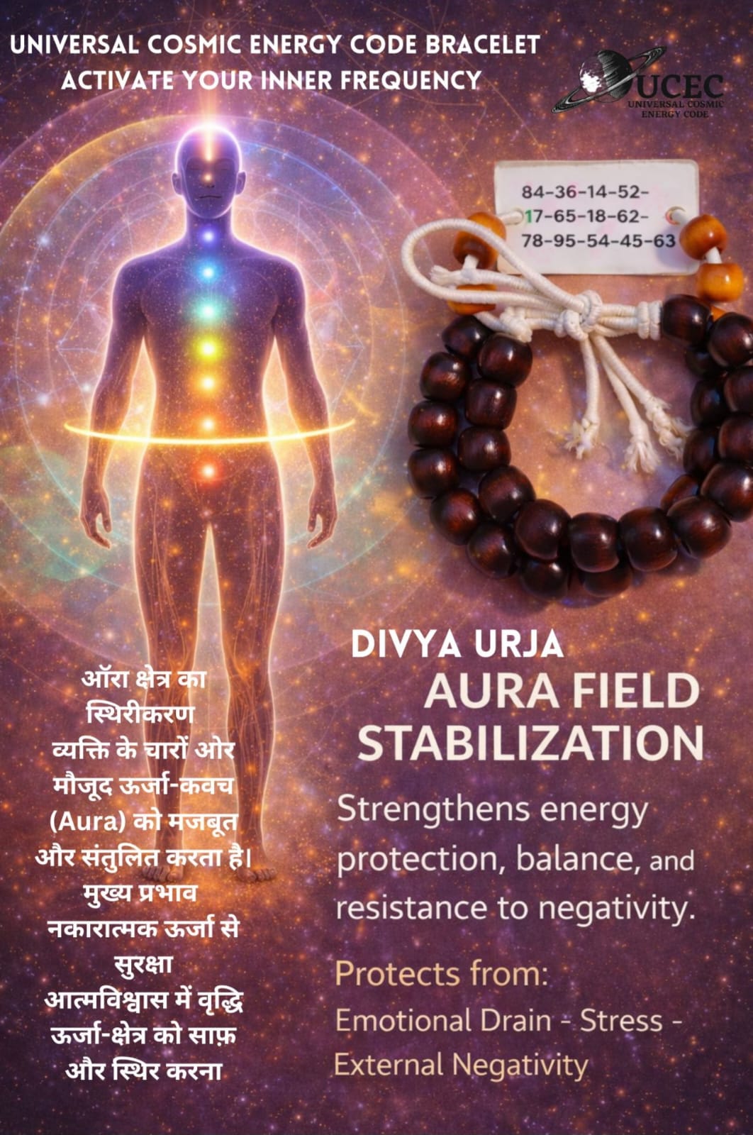 WhatsApp Image 2026-01-31 at 19.34.12