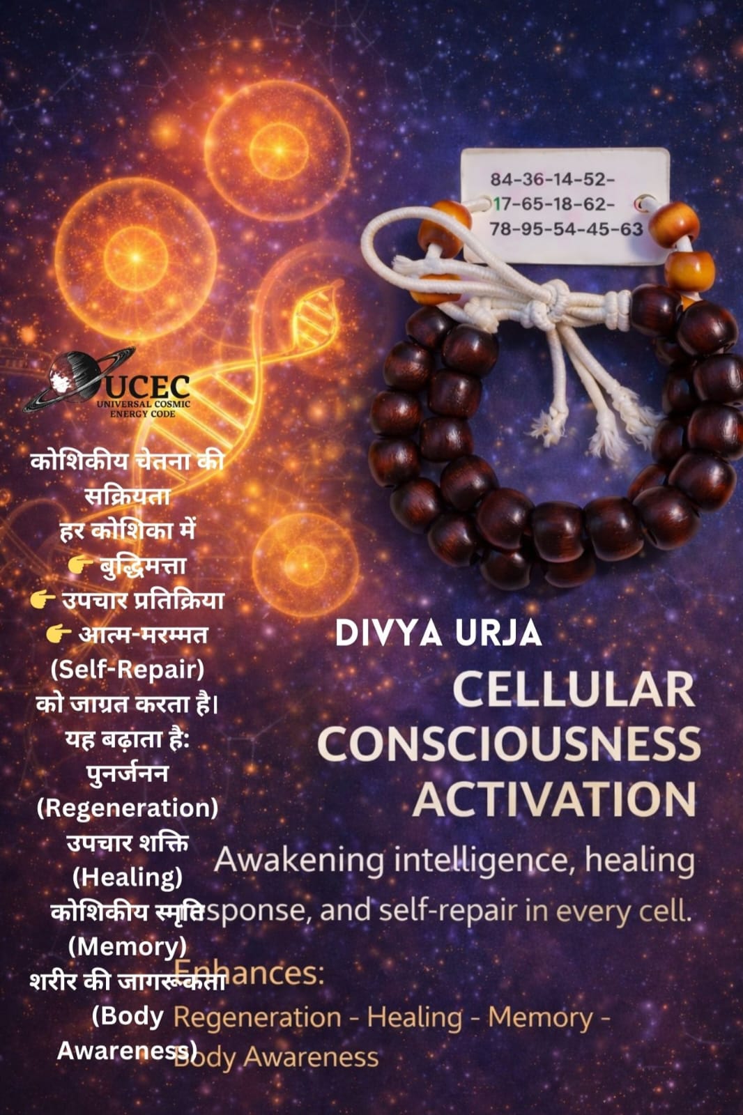 WhatsApp Image 2026-01-31 at 19.34.13 (1)