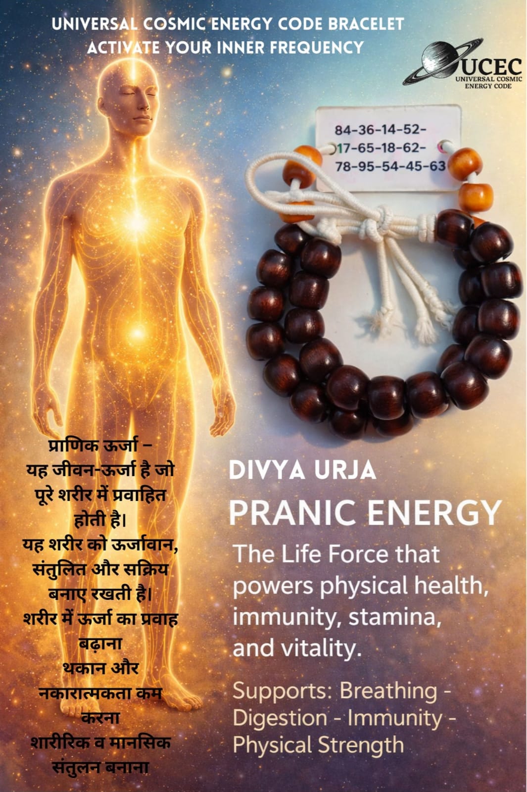 WhatsApp Image 2026-01-31 at 19.34.13